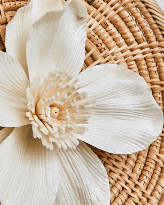 Decoração de Parede Misky | Suspensão Artesanal em Vime