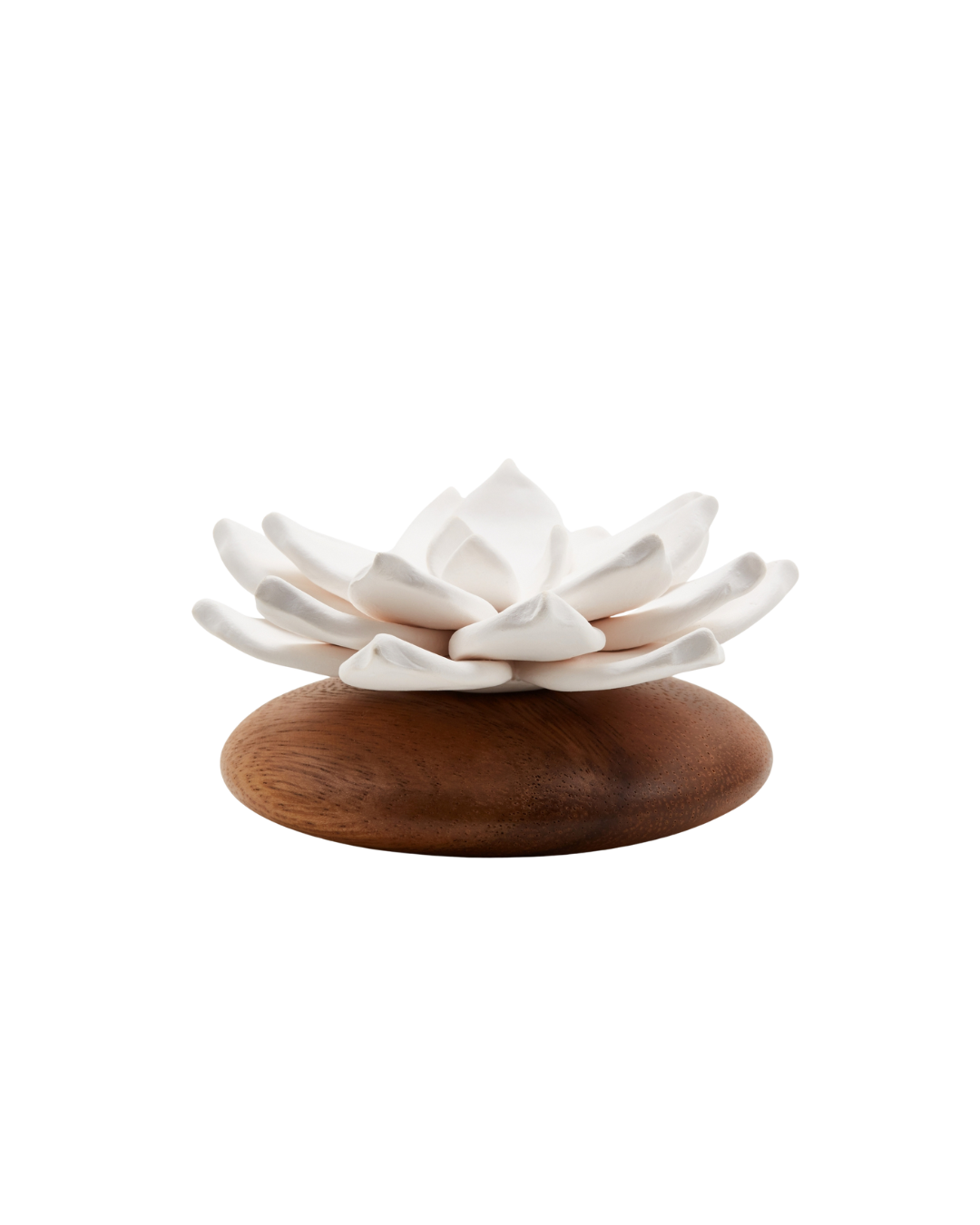 Difusor de Ambiente Lótus | Flor de Porcelana & Madeira Acácia