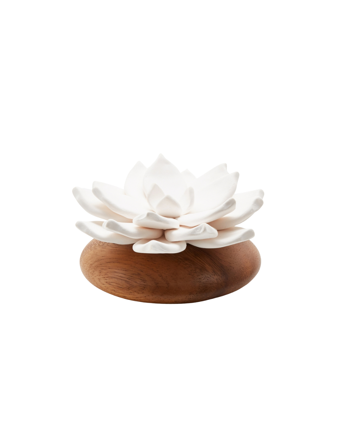 Difusor de Ambiente Lótus | Flor de Porcelana & Madeira Acácia