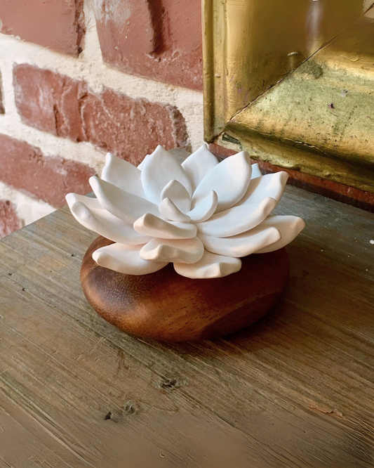 Difusor de Ambiente Lótus | Flor de Porcelana & Madeira Acácia