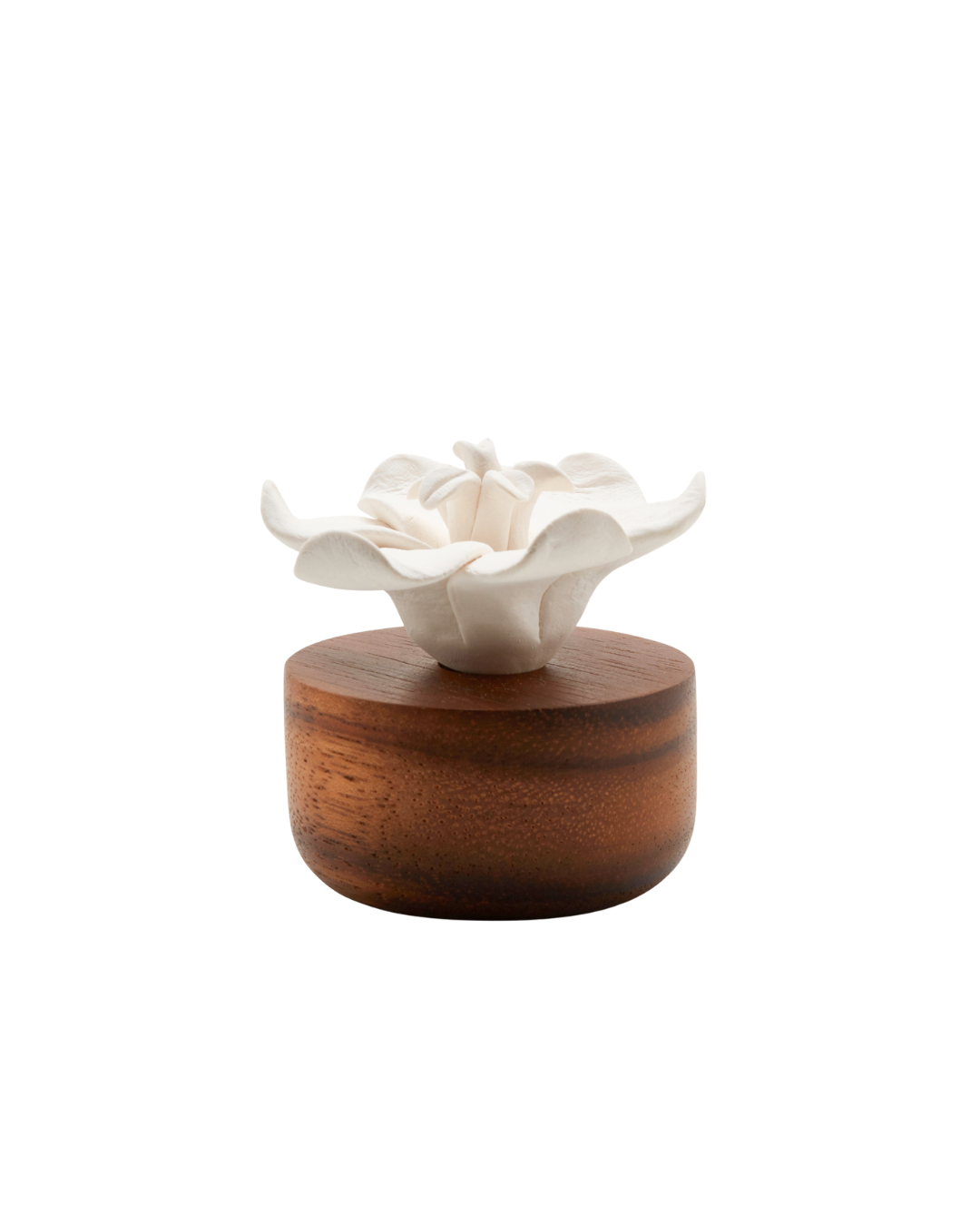 Difusor de Ambiente Orquídea | Flor de Porcelana & Madeira Acácia